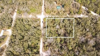 TBD SW 88th Ln, Trenton, FL 32693