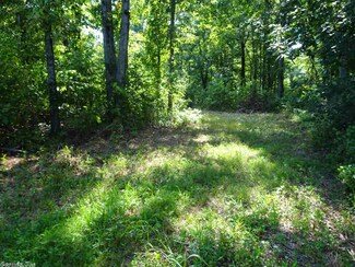 000 Hwy 13, Hickory Plains, AR 72040