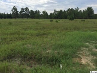 Lot 33 A Lake Swamp Rd, Nichols, SC 29581