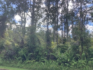0 Alapai St Unit 725058, Pahoa, HI 96778