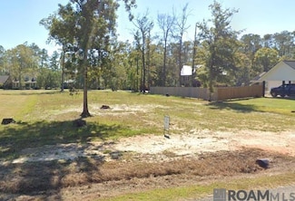0 River Point Dr Unit 2025012535, Springfield, LA 70462