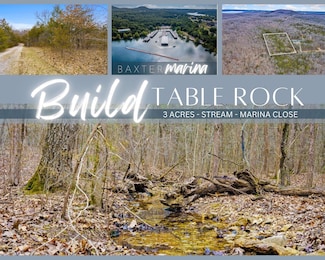 Tbd Alyeska Point Rd, Pine B Township, MO 65681