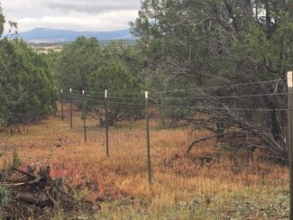 Lot 3 Winchester Trails Unit 2 -- Unit 3, Vernon, AZ 85940