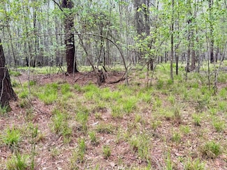 0 Lowcountry Dr Unit 23127369, Ridgeland, SC 29936