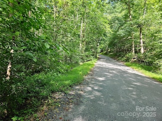0 Sandpiper Ave Unit 163 CAR4273273, Lake Lure, NC 28746