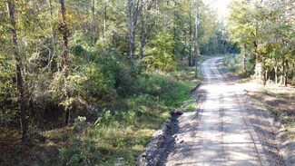 0 Blakey Ct, Eutawville, SC 29048