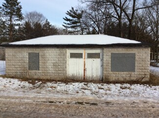 4585 N High Bridge Rd, Brethren, MI 49619