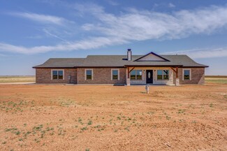 7804 N County Road 1100, Shallowater, TX 79363