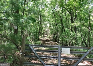 0 Whisenant Mountain Rd Unit 10616884, Ellijay, GA 30540