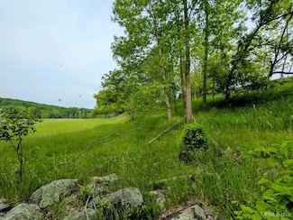 W 3173 Swede Settlement Rd, Waucedah Township, MI 49892