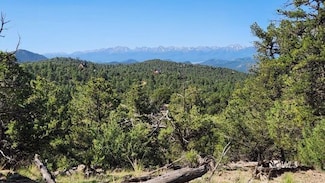 134 Knight Ln, Cotopaxi, CO 81223