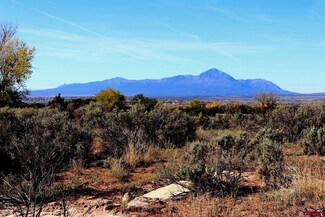 13150 Road 30 5 Loop, Mancos, CO 81328