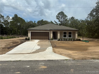 2817 W Higgins Place, Citrus Springs, FL 34433