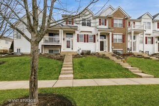 581 Richard Brown Blvd, Volo, IL 60073