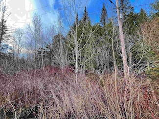 1401 Schoolhouse Rd, Brownington, VT 05860