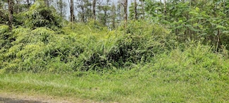 0 Shell Rd Unit 713979, Pahoa, HI 96778