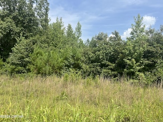 000 Sweetlips Rd, Henderson, TN 38340