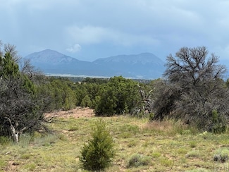 Lot 116 Comanche Dr, Weldona, CO 81089
