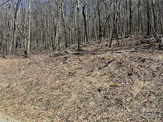 244 & 245 Grouse Thicket Ln, Mars Hill, NC 28754