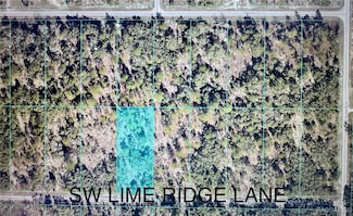 TBD Limeridge Ln, Rainbow Lakes Estates, FL 34431