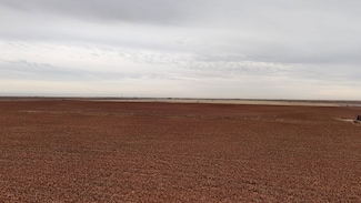 0 Hwy 114, Morton, TX 79346