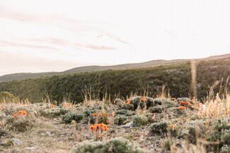 2650 Taylor Mountain Rd Unit 2,3,4,, Vernal, UT 84078