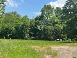 Lot 67 Cypress Cir, Mount Vernon, TX 75457