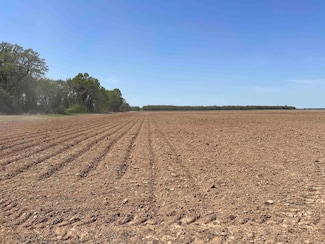 30 Chaney Rd, Lonoke, AR 72086