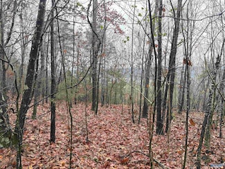 80 Acres Bella Vista Dr, Scottsboro, AL 35768