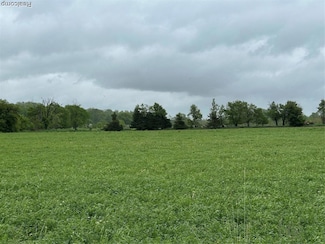 Parcel 2 Cedar Lake Rd, Marion Township, MI 48843