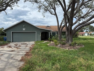 9155 Pemberton St, Spring Hill, FL 34608