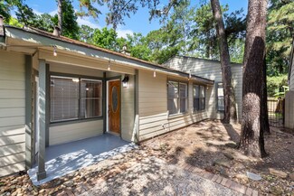 14 W Cobble Hill Cir, Spring, TX 77381