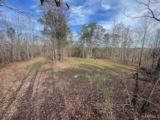 1300 Coosa County Road 71, Kellyton, AL 35089