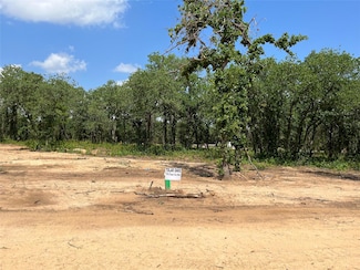 448 Peace Lily Way, Tolar, TX 76476