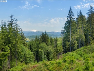 0 Meissner Rd Unit 184527517, Deer Island, OR 97054