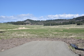 0 Mundt Rd, Plummer, ID 83851