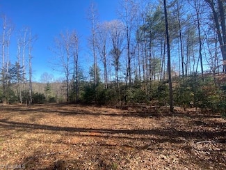 Lot #3 Bayberry Ln, Purlear, NC 28665