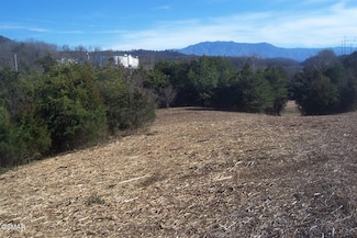 Tr 4 Veterans Blvd, Sevierville, TN 37863