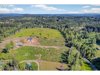 315 Dolan Rd, Castlerock, WA 98611