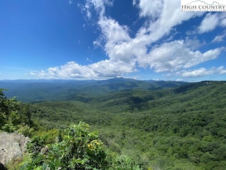 10 Twin Oaks Mountain Blvd, Sparta, NC 28675