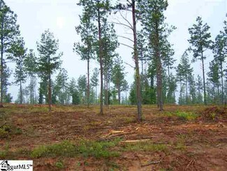 0 Stewart Dairy Rd, Gray Court, SC 29645
