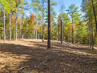 0 Nimmons Bridge Rd, Salem, SC 29676