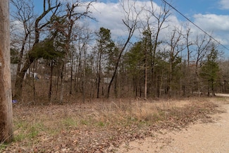 Lot 43 Blackoak Ln, Merriam Woods, MO 65740