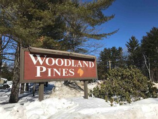19 Woodland Pines Rd Unit 7, Bartlett, NH 03812