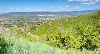 1429 Berries Way Unit 146, Midway, UT 84049