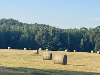 206 Manning Rd, Mount Vernon, AR 72111