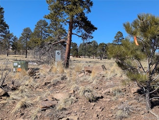 659 Richard Dr, Fort Garland, CO 81133