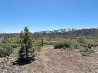 TBD Lester Creek Rd, Pine, ID 83647