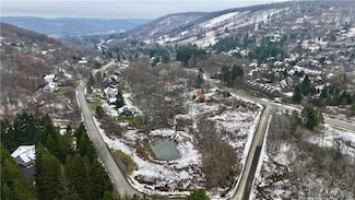 0 Hencoop Hollow Rd Unit B1651705, Ellicottville, NY 14731