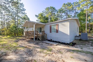 16410 SE 119 St, Ocklawaha, FL 32179